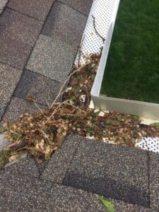 gutter cleaning