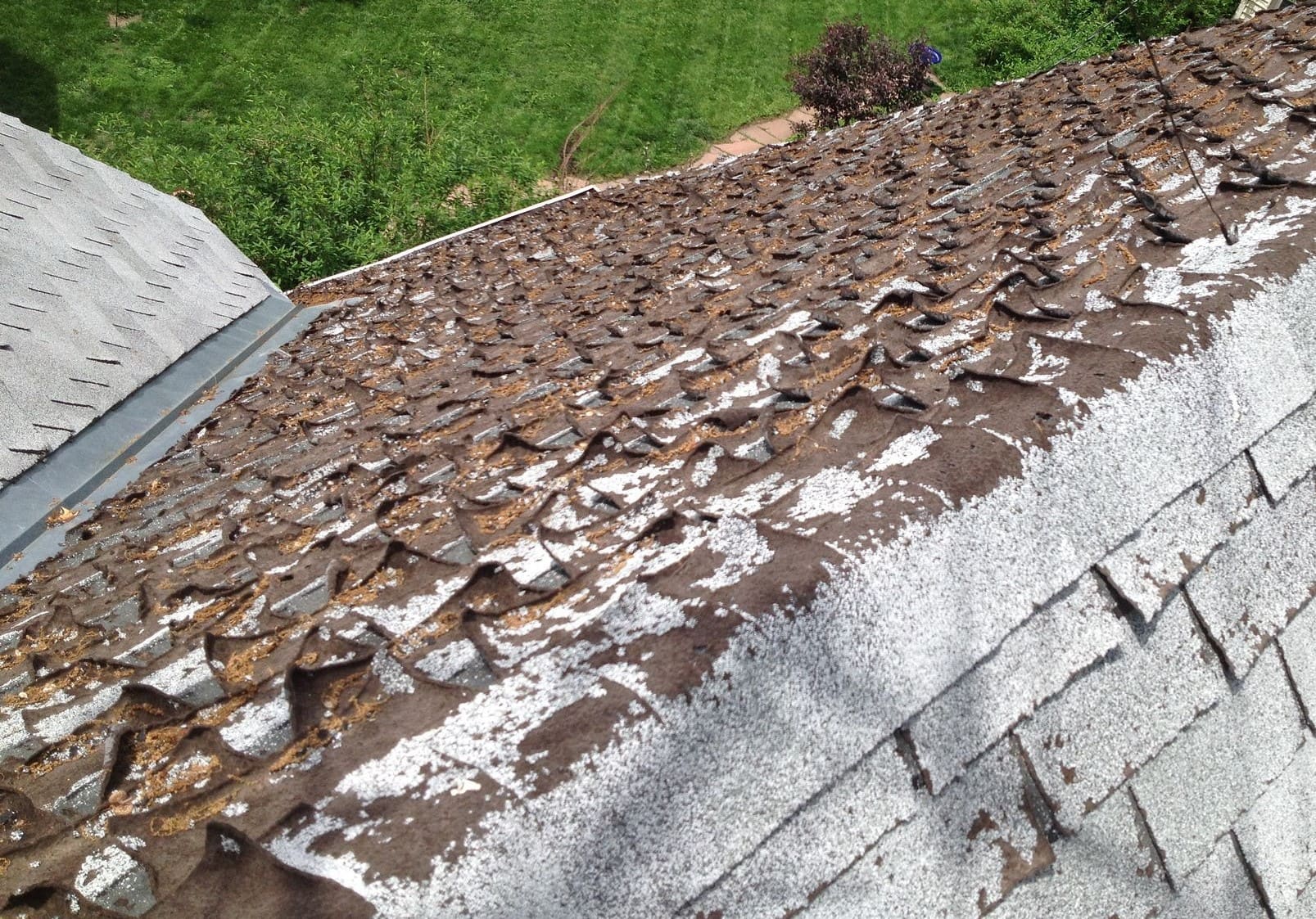 Curling Shingles: Top Causes and How to Fix