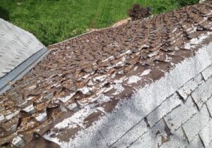 Curling Shingles: Top Causes and How to Fix