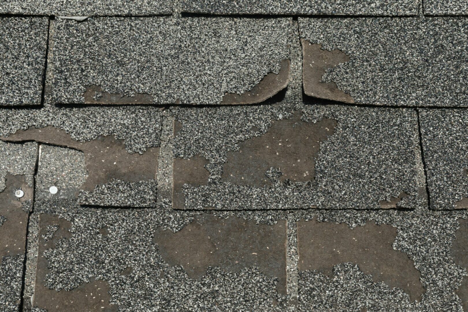 granules in your gutters from old shingles