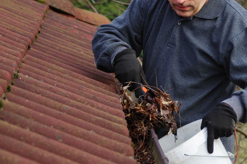 gutter cleaning