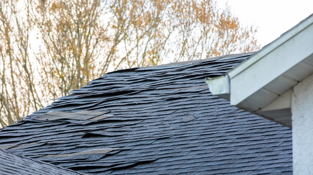 old roof shingles on the roof of a house that needs replacing