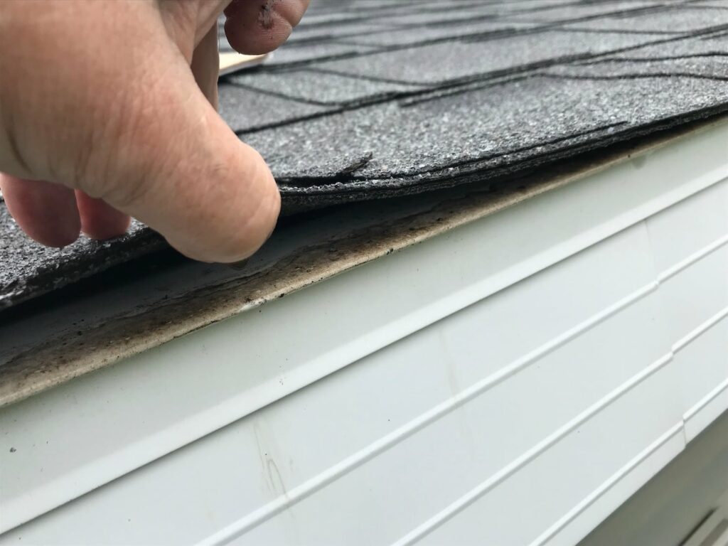 person lifts of edge of roof looking for signs of roof leaks