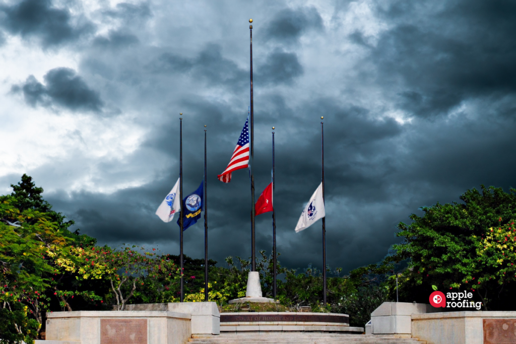 Military Branch Flags