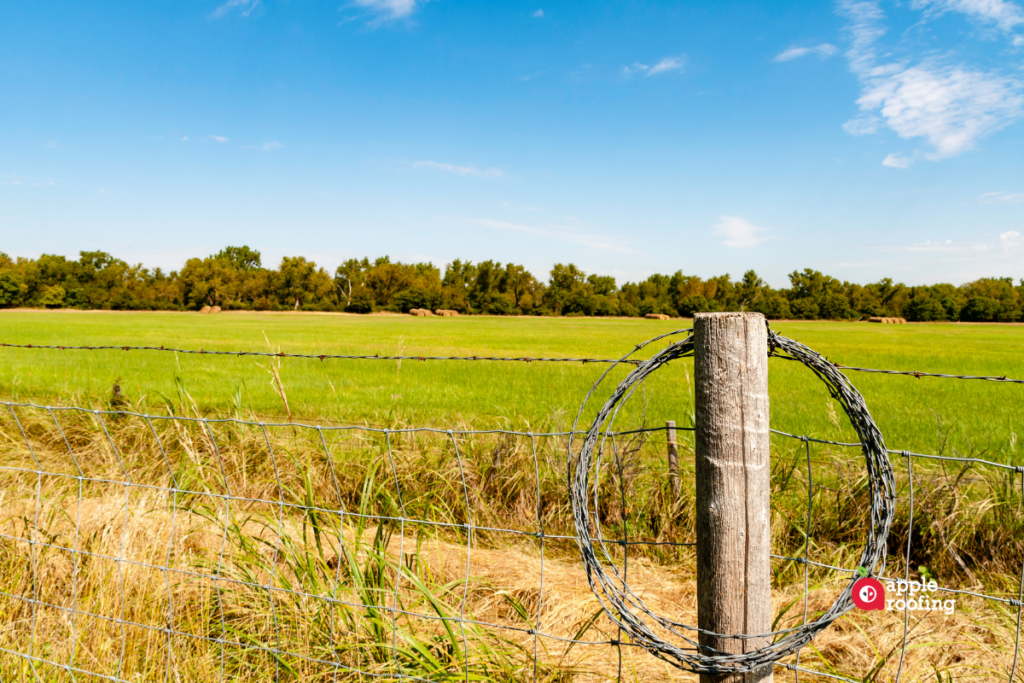 Barbwire fence and hay field