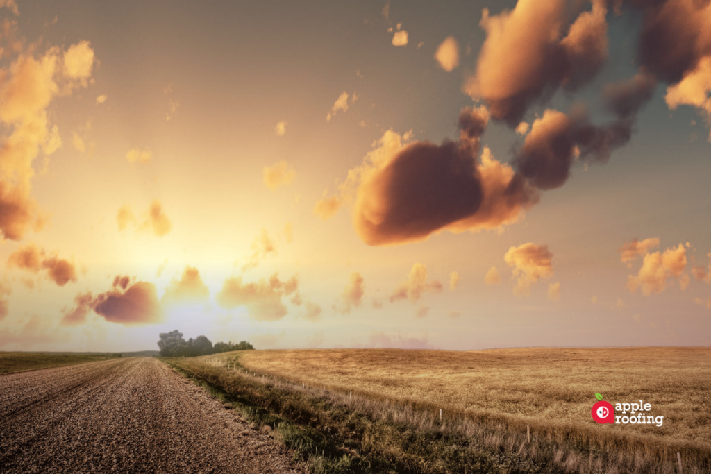 Field and Gravel Road