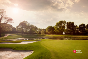 golf course grass sunset