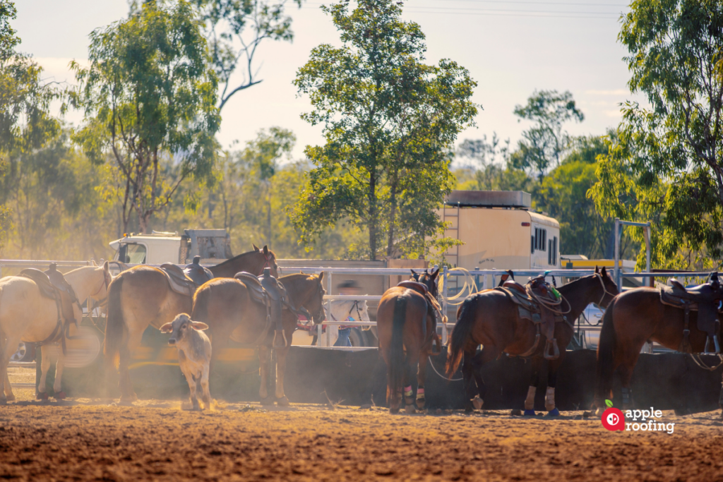 Horses next to gate