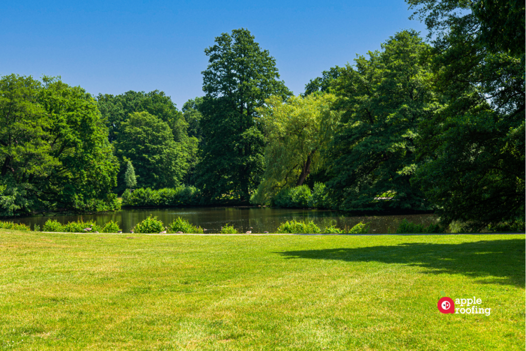 Pond with trees