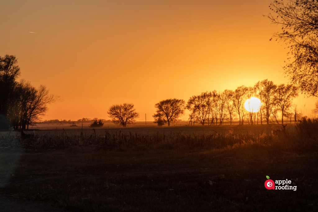 Golden Hour Landscape