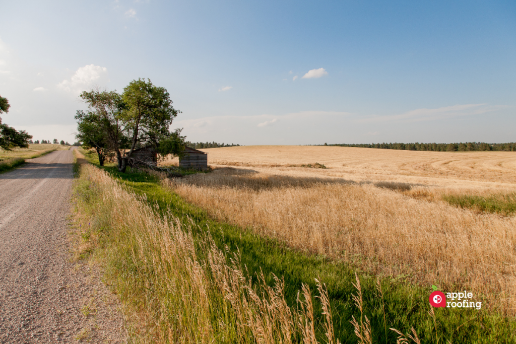 Wood Shed in Field