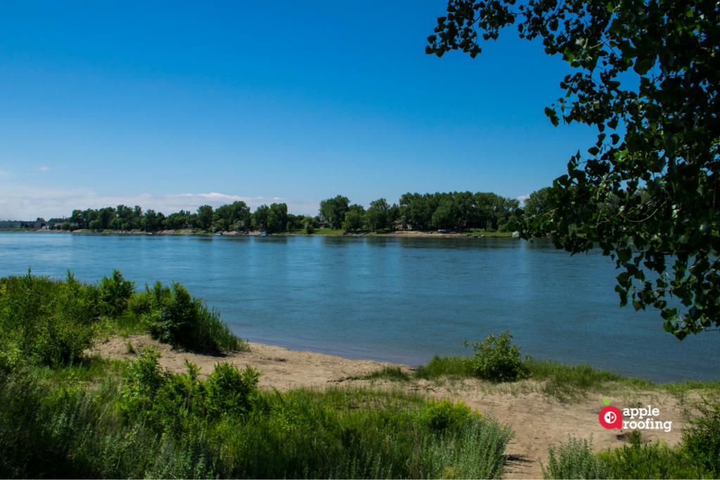 River with trees and sand