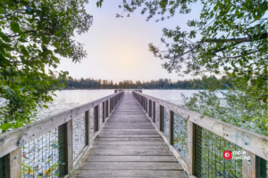 Dock over water with trees