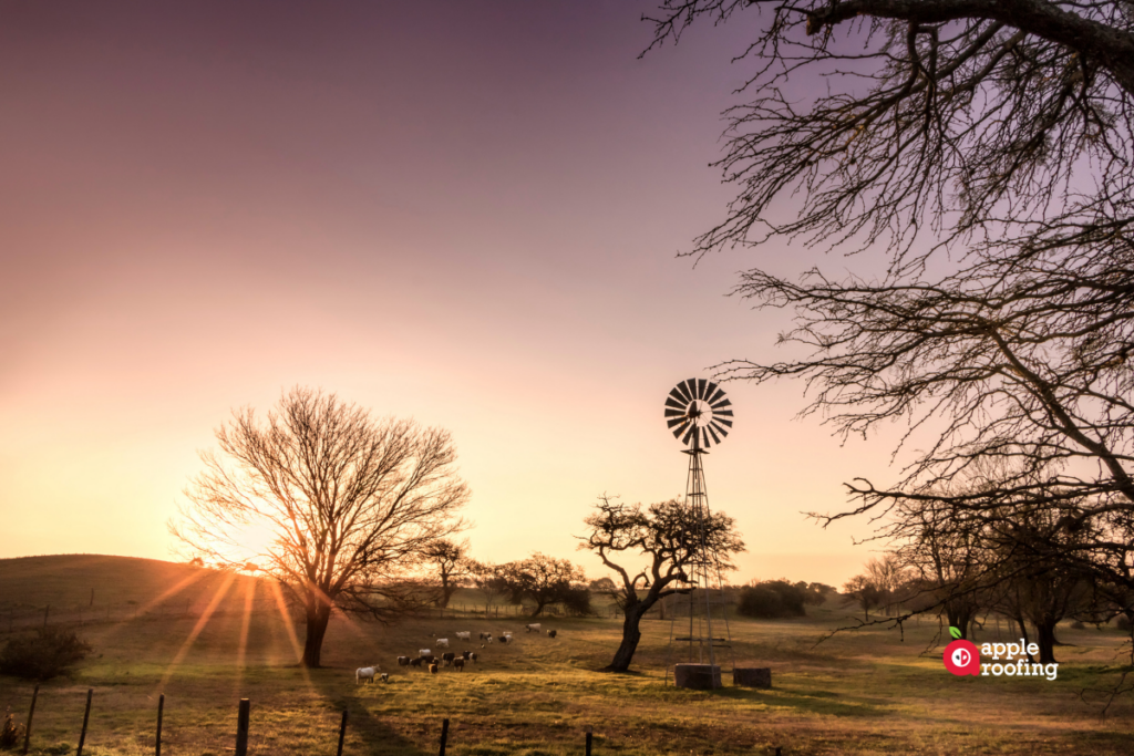 Windmill in field sunset