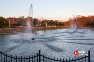 Water fountain with pond