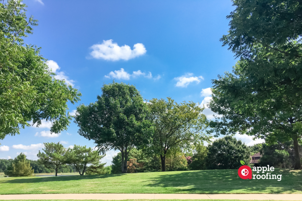 Walking trail along grass