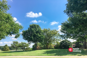 Walking trail along grass